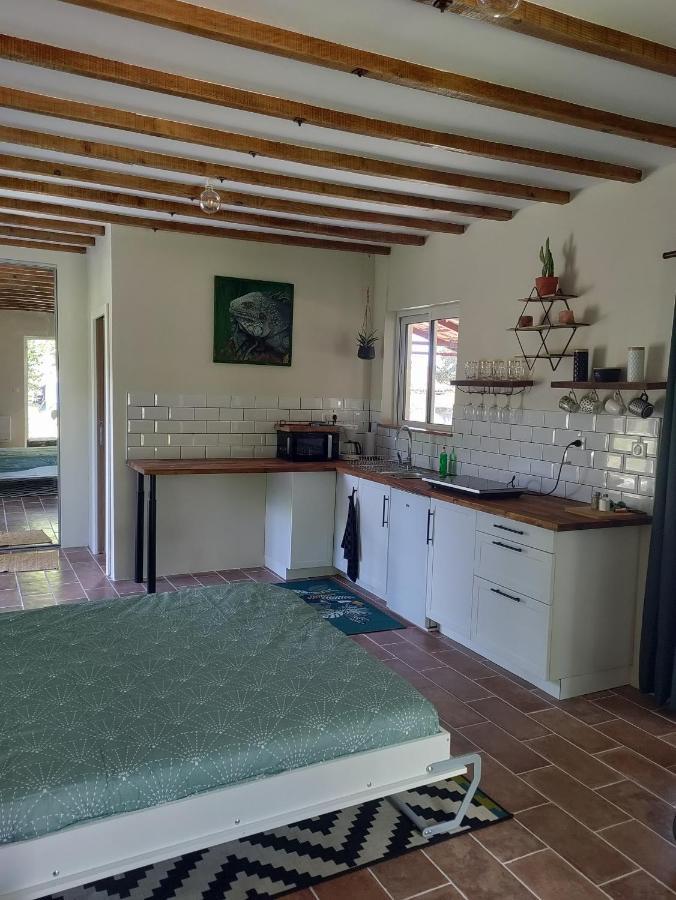 Chez Chapelle In The Heart Of The Gascony With Pool And Hot Tub Διαμέρισμα Auch Εξωτερικό φωτογραφία