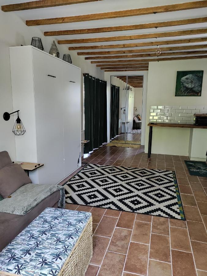 Chez Chapelle In The Heart Of The Gascony With Pool And Hot Tub Διαμέρισμα Auch Εξωτερικό φωτογραφία