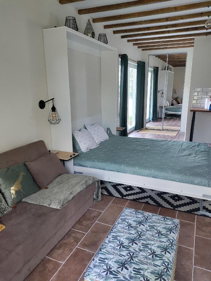 Chez Chapelle In The Heart Of The Gascony With Pool And Hot Tub Διαμέρισμα Auch Εξωτερικό φωτογραφία
