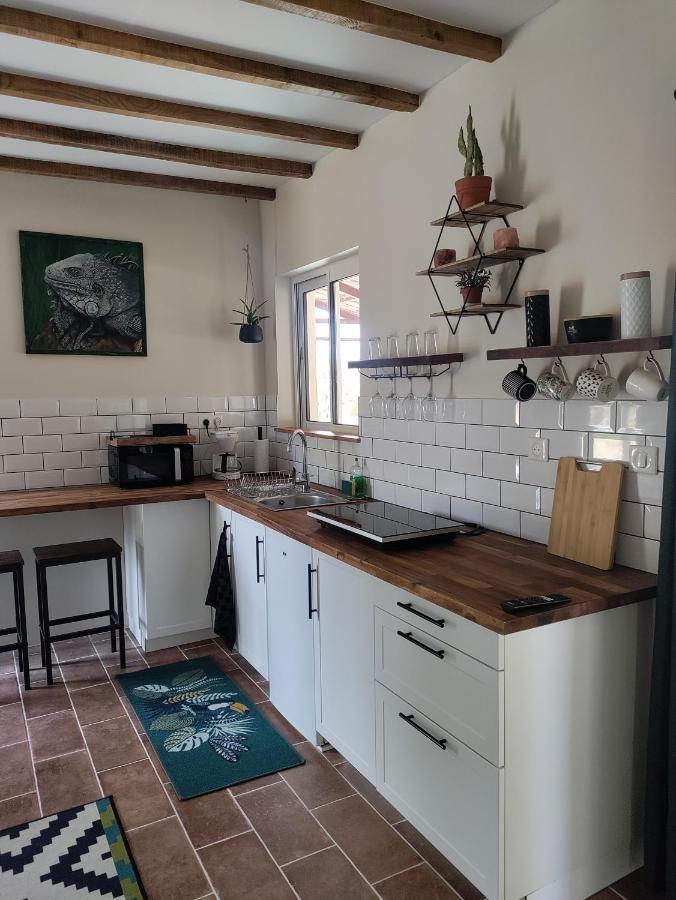 Chez Chapelle In The Heart Of The Gascony With Pool And Hot Tub Διαμέρισμα Auch Εξωτερικό φωτογραφία