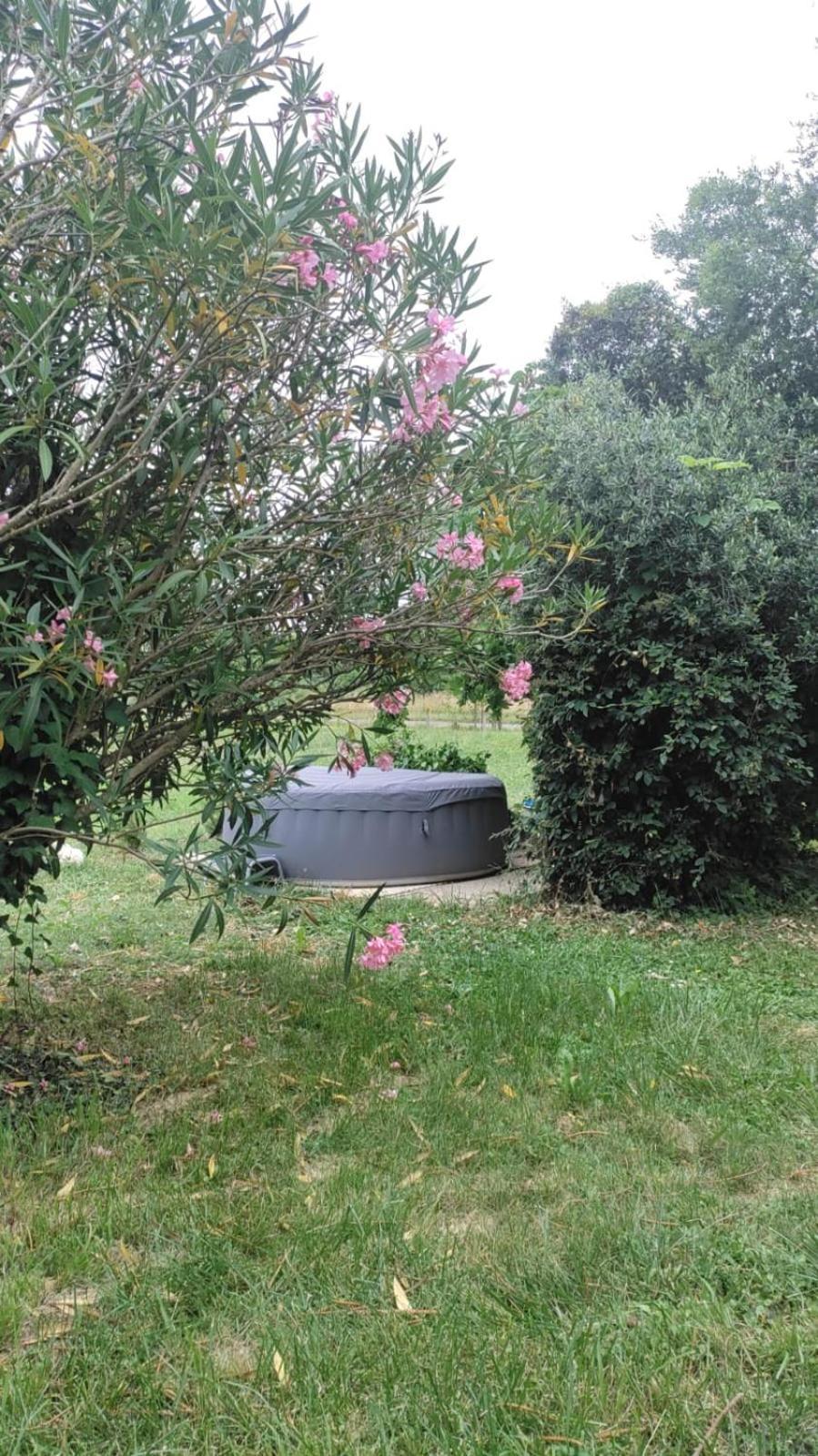 Chez Chapelle In The Heart Of The Gascony With Pool And Hot Tub Διαμέρισμα Auch Εξωτερικό φωτογραφία